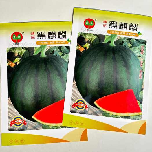 沭阳县黑麒麟黑皮大西瓜种子早中熟红瓤高产大果高圆黑麒麟西瓜种子籽