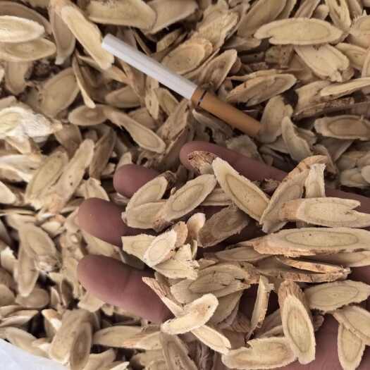 甘肃黄芪指甲片