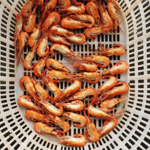 珠海熟冻罗氏虾25一30
