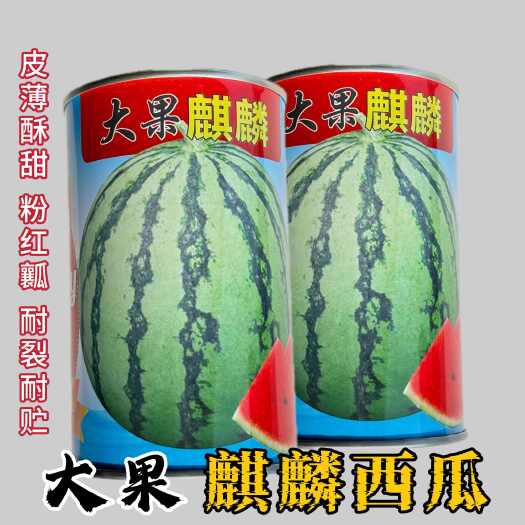 大果麒麟西瓜种子8424西瓜种子早熟粉红瓤质脆多汁薄皮耐贮运