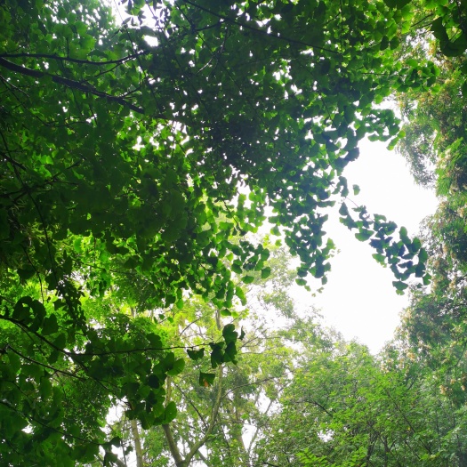 威海威海文登200亩整座山2座转让