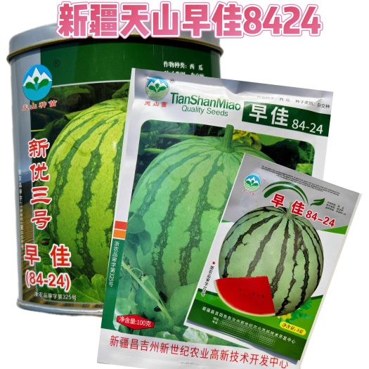 正宗新疆天山早佳8424西瓜种籽春秋季大棚基地8424西瓜籽