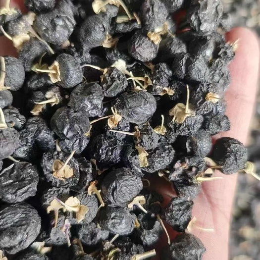 黑枸杞源头大量批发供应
