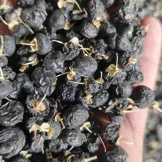 兰州黑枸杞源头大量批发供应