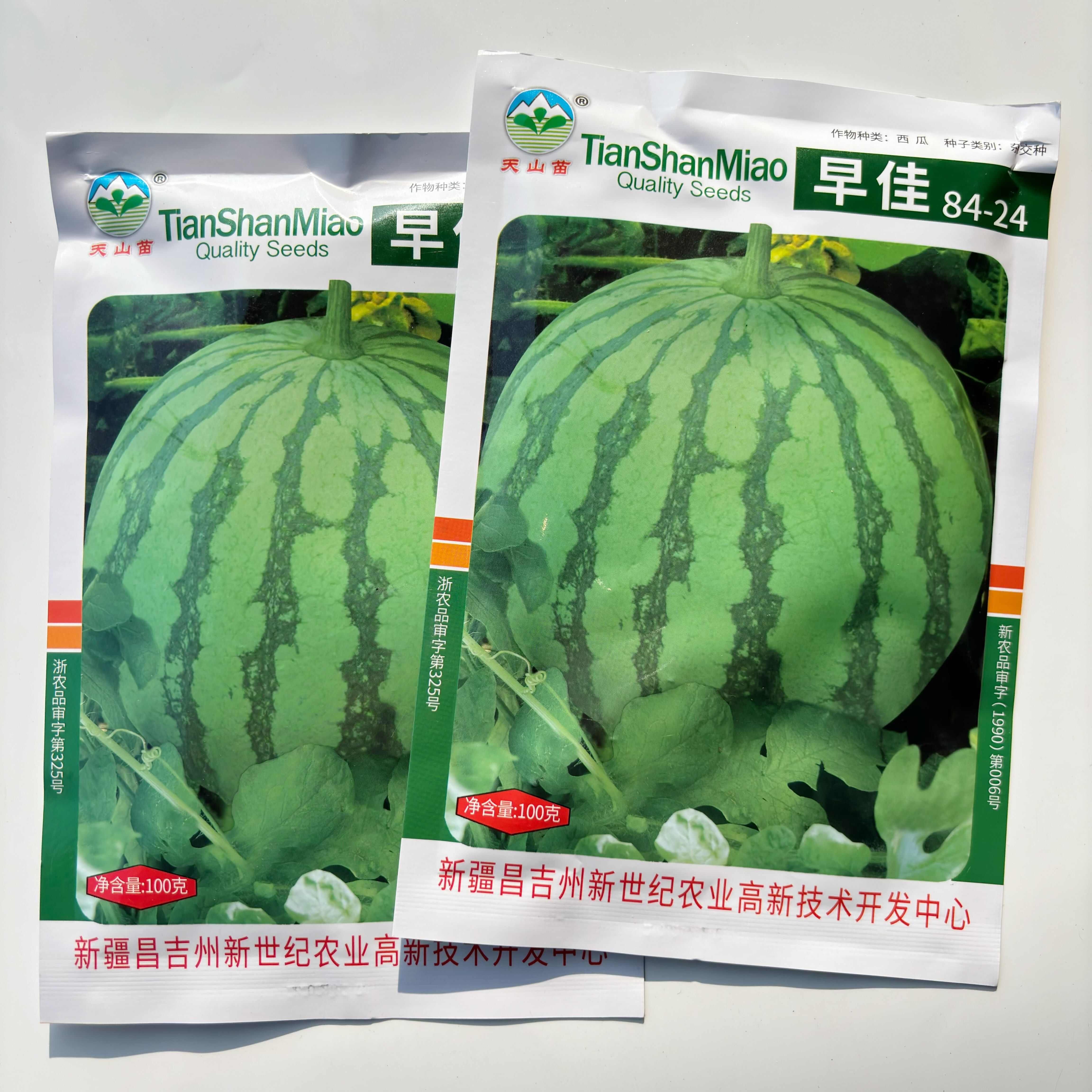 正宗新疆天山早佳8424西瓜种籽春秋季大棚基地8424西瓜籽