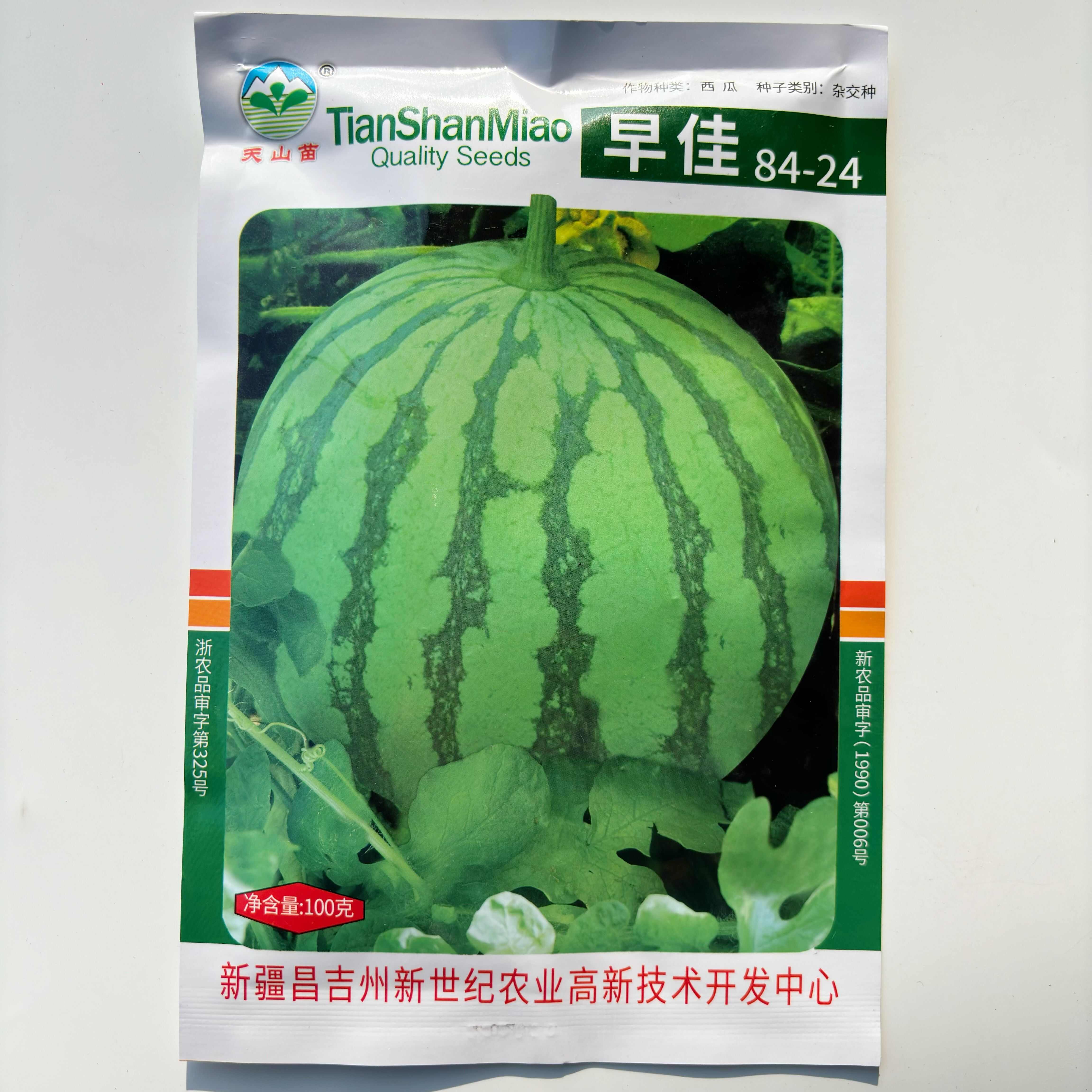 正宗新疆天山早佳8424西瓜种籽春秋季大棚基地8424西瓜籽