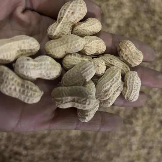 湘西凤凰县特产干花生优质粮油米面自然晒干非油料作物