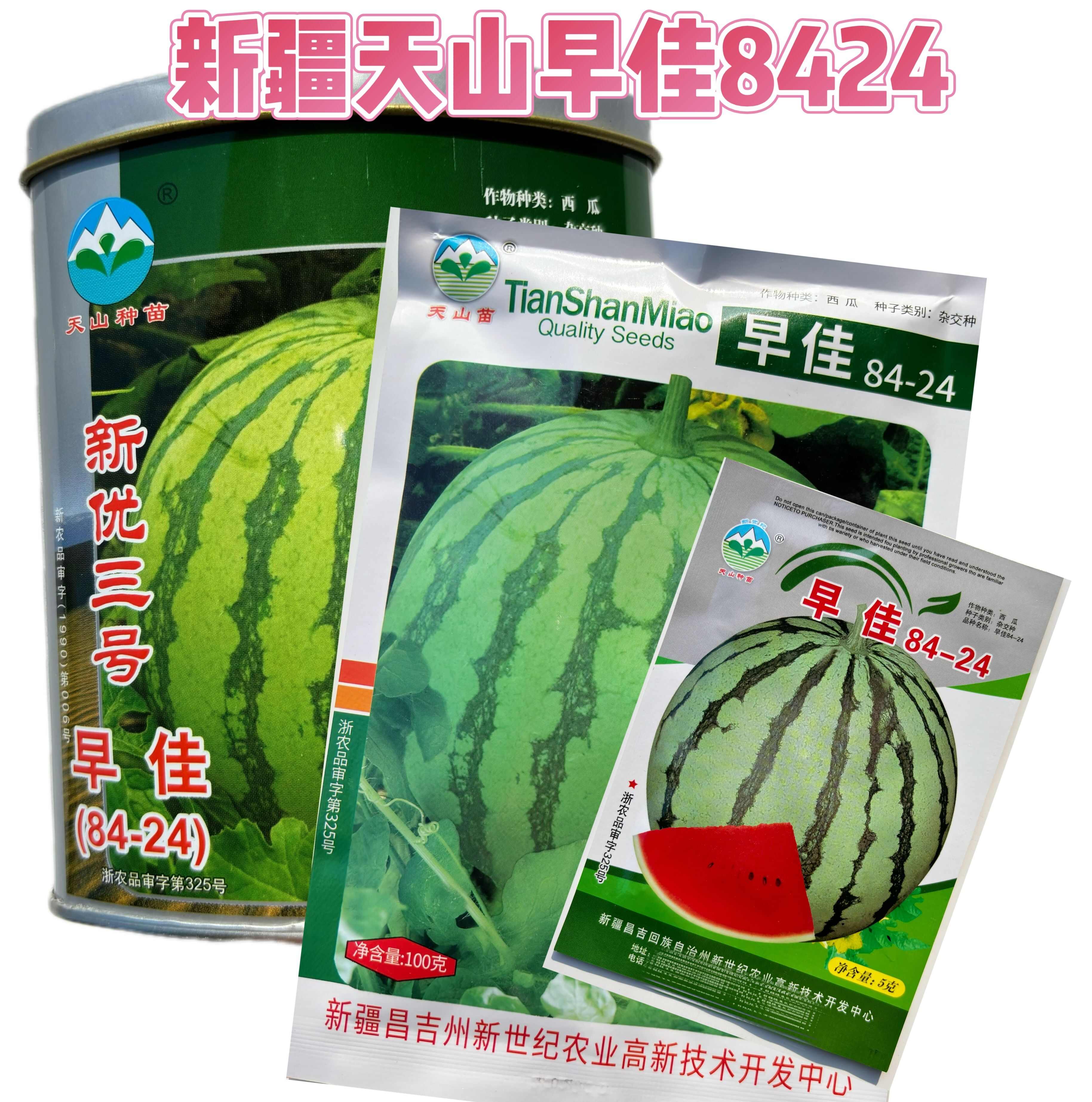 正宗新疆天山早佳8424西瓜种籽春秋季大棚基地8424西瓜籽