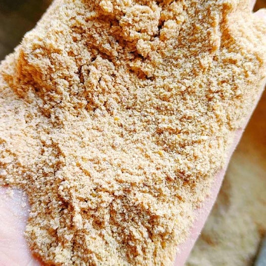 肥东县玉米面，玉米次粉