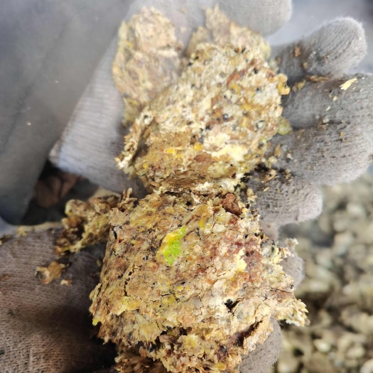 哈尔滨不提油全脂熟化豆饼！