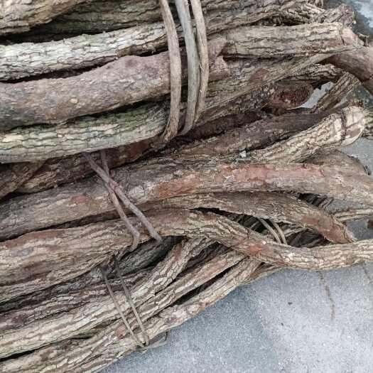 广州海风藤（黑老虎）鲜货