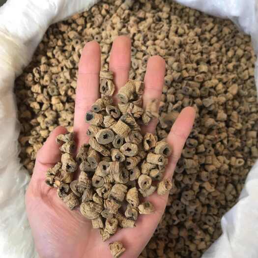 昆明巴戟天   优质好货  质量保证   量大价优