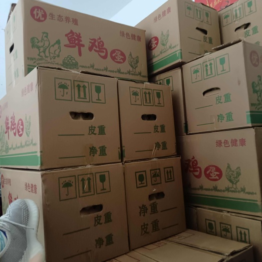 鸡蛋