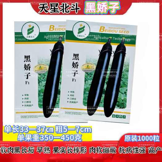 沭阳县黑娇子茄子种子早熟软肉黑长茄子种子抗病强丰产肉软细嫩茄子种子