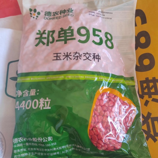 故城县郑单958国审玉米种白轴