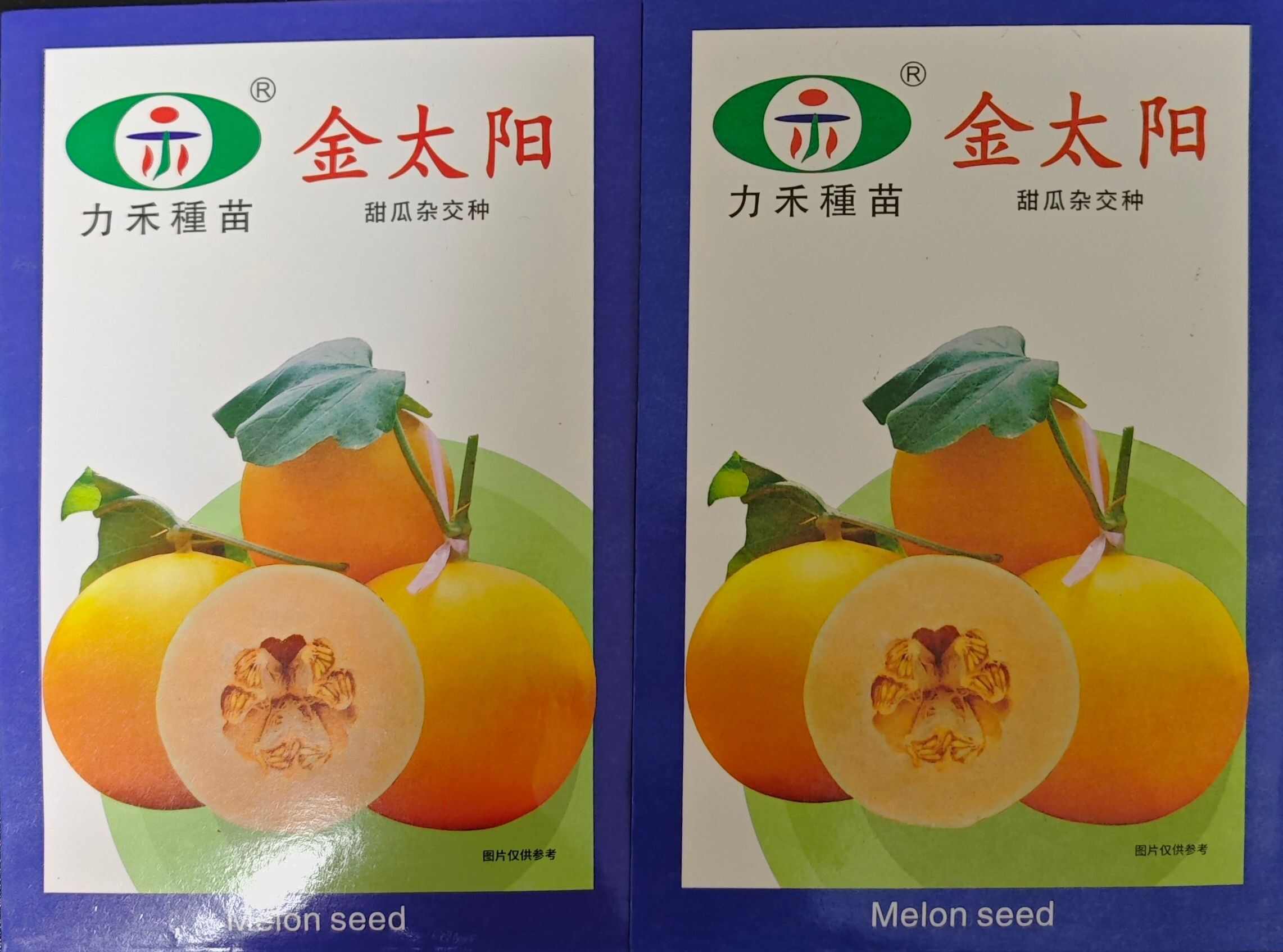 夏邑县金太阳甜瓜种子甜椭圆形金黄色脆香贮运桔红色高球型