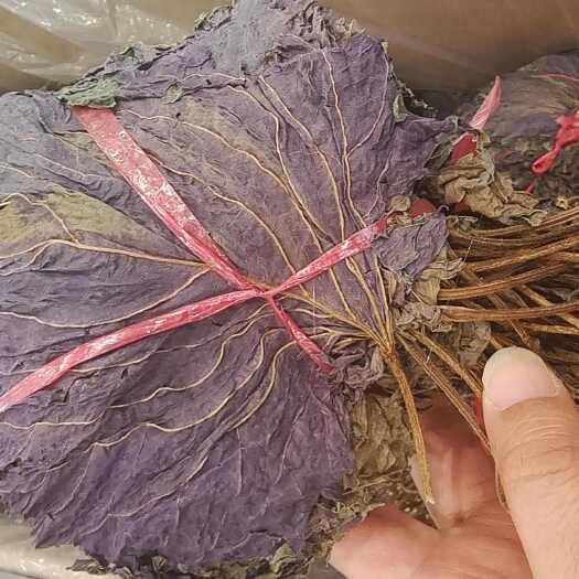 紫苏叶   干货  一面紫一面绿 选货