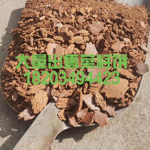 朔州菜籽饼厂家一手货源，常年有货