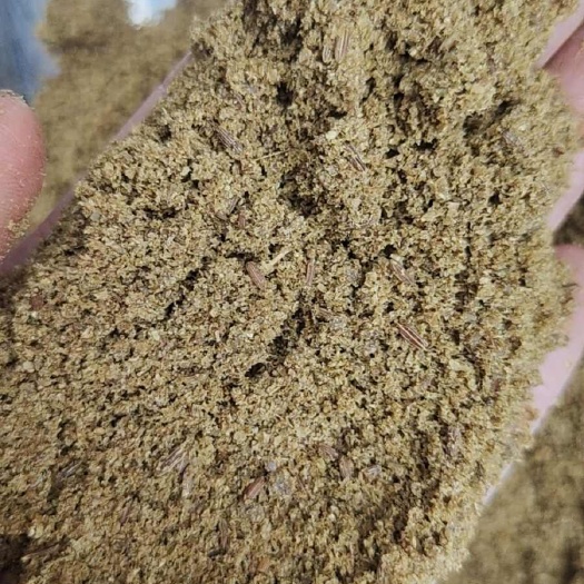中牟县孜然碎，价格便宜，大众口味