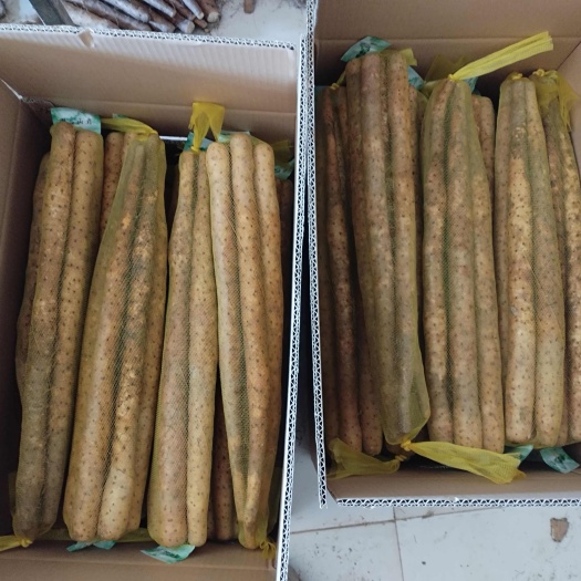 产地直供双棒山药，网袋装，节前大量上货