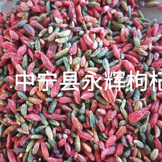 野生青红枸杞