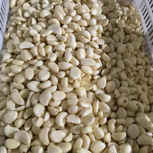 金乡县金乡大蒜 蒜米料 蒜米 常年有货 产地直发