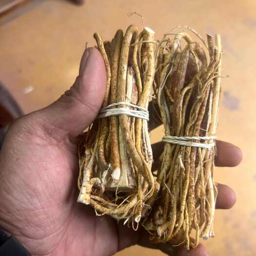 浦北县五指毛桃，小扎包心