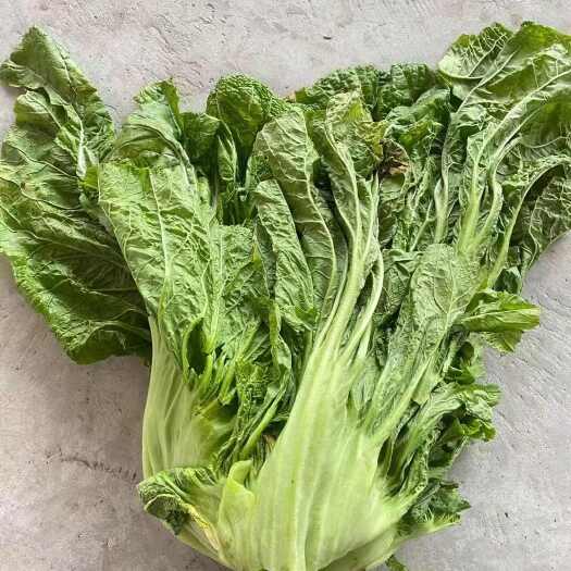 宽叶青菜，酸菜，青菜