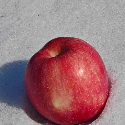 汉中精品甘肃云端雪果高端礼盒装