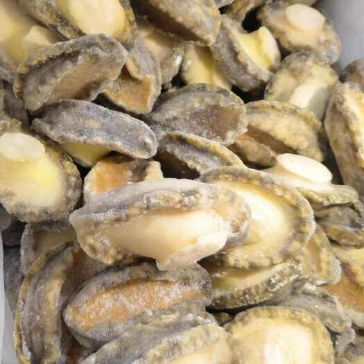 南安市各规格鲜冻鲍鱼肉