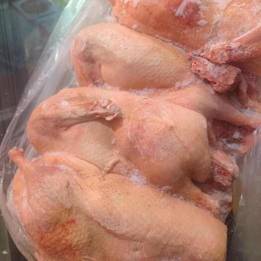 商丘半片鸭