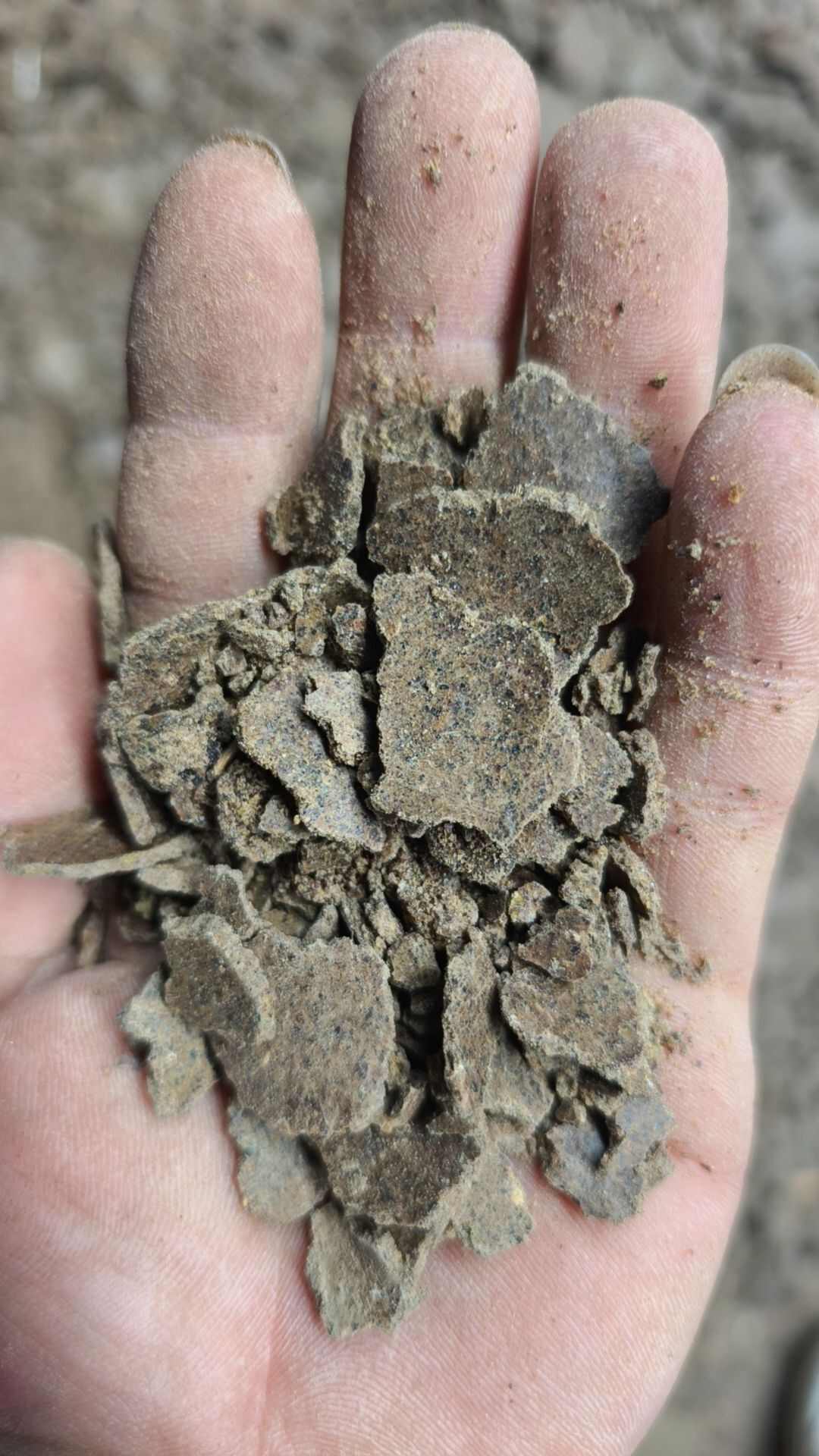 二级花生饼菜籽饼出售