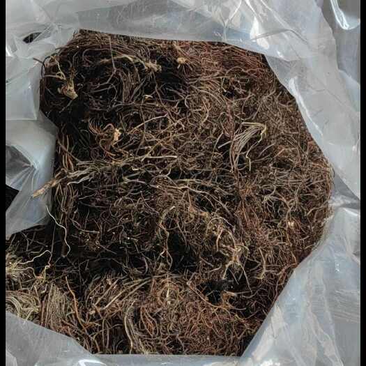长春水洗风干威灵仙