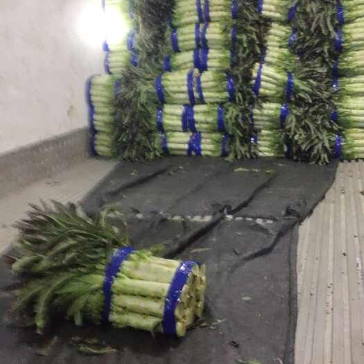 富川县装车现场 靚货不等人
