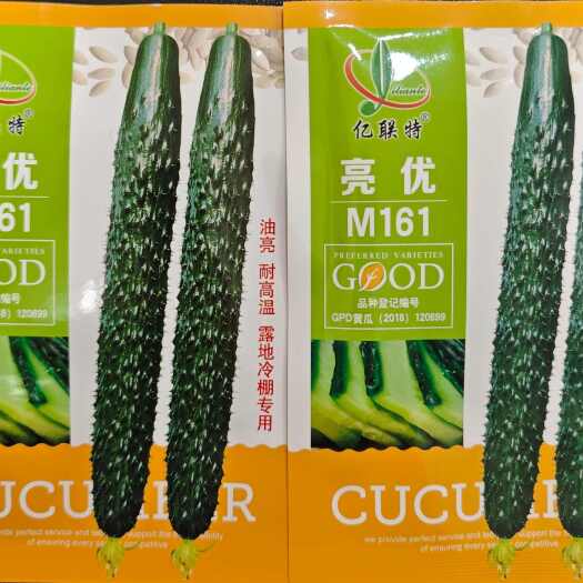 黄瓜种子亮优M161露地冷棚专用油亮耐高温绿肉短把密刺