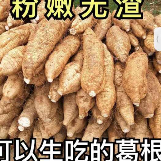 藤县葛根