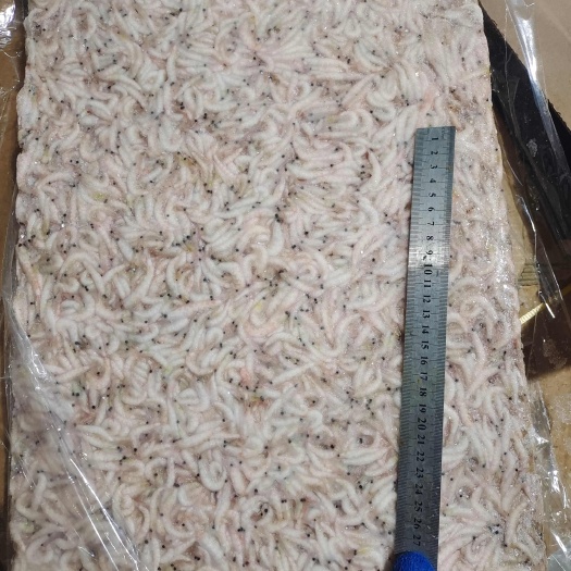 南极磷虾，适合食品加工原料，水产养殖饲料虾