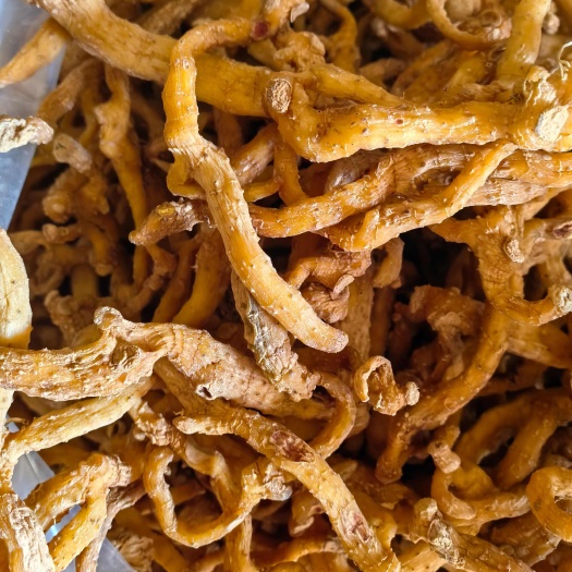 佛山玉竹，假一赔十，，当地天然烘干