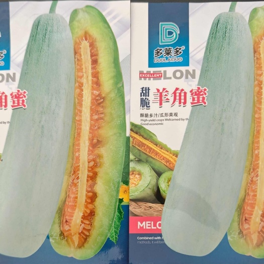 夏邑县羊角蜜甜瓜种子酥脆多汁瓜形美观瓜皮浅绿色瓜羊角型汁液量大