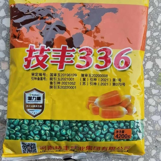 唐山技丰336玉米种子棒子大产量好不挑地抗性好好卖粮适应能力强