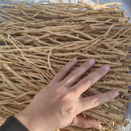 防风精品货.展览会.跑江湖摆.地摊