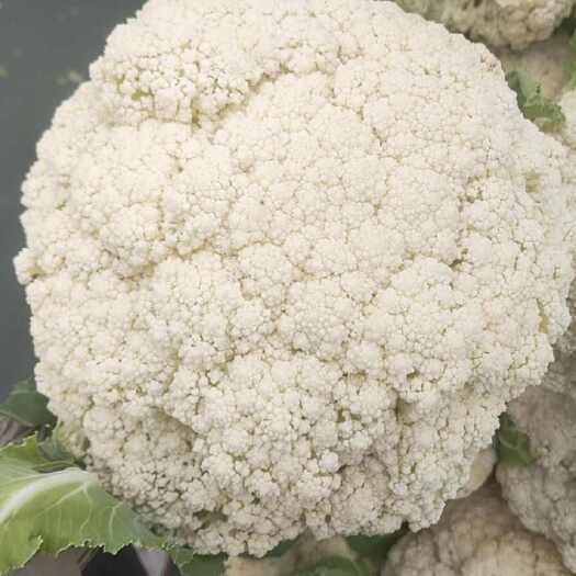 通许县有机花菜