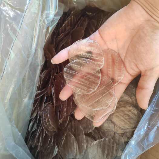 中牟县小圆粉皮