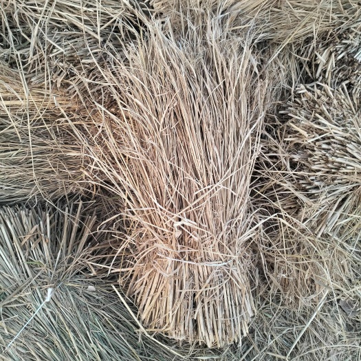 稻草秸秆饲料 河北石家庄发货 适用于鸡鸭鹅猪牛羊马兔鸽子鹌鹑
