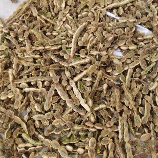 襄城县槐豆，槐角，槐实，手工采摘，品质保证，