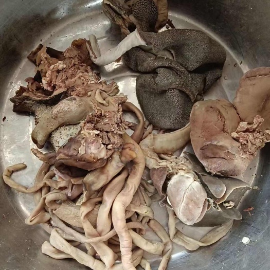 阳信县整套鲜羊下货，羊杂，鲜货现煮，十分熟
整套可免费切杂