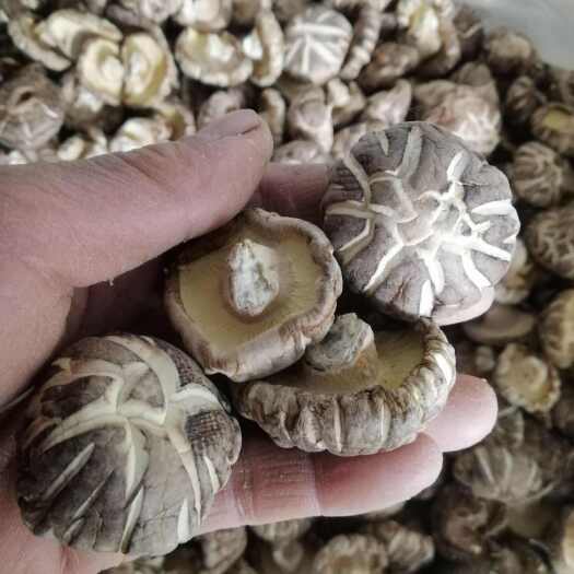 随县一斤起发新货花菇/香菇干货随州地标特产山珍蘑菇自种植批发零售