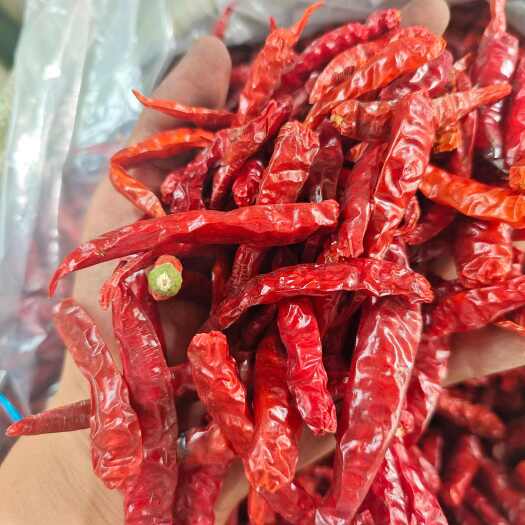 襄汾县精品烘干艳红干辣椒批发优质香辛料增添菜肴香味 米面粮油好搭档