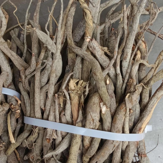 玉林黑皮小叶千斤拔