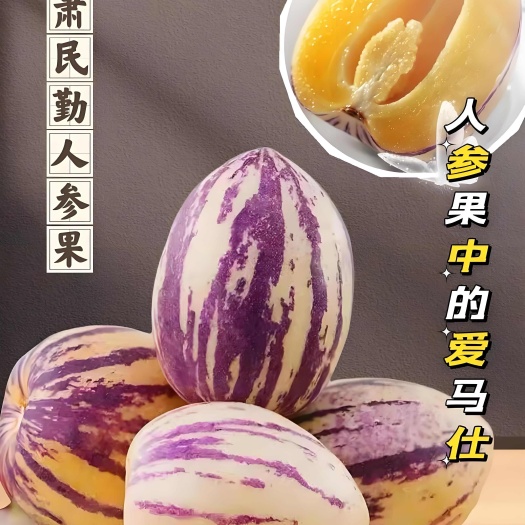 民勤县甘肃民勤沙漠人参果，电商一件代发，清甜多汁低糖高营养
